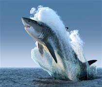 Chuyên gia dự báo nhóm cổ phiếu sẽ "dẫn sóng" thị trường năm 2026