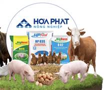HPA: Nông nghiệp Hòa Phát sẽ duy trì trả cổ tức tiền mặt hàng năm khi lên sàn