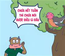 VNINDEX “bốc đầu” gần 27 điểm từ đáy, tạo chuỗi tăng 5 phiên liên tiếp !