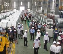 Gia Lai thí điểm phân bổ hạn ngạch phát thải