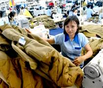 GMC: Ủy ban Chứng khoán đình chỉ kiểm toán viên ký báo cáo tài chính năm 2024 của Garmex Sài Gòn