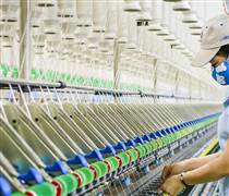 Hệ sinh thái 20.000 tỷ của Vinatex: Những ‘ngôi sao’ mang về nghìn tỷ lợi nhuận