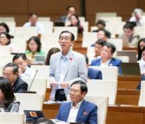 'Cần gói hỗ trợ phục hồi sản xuất kinh doanh sau bão lũ với lãi suất 0 đồng'