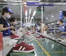 GTD: Tăng trần 11 phiên liên tiếp, Giầy Thượng Đình nói gì?