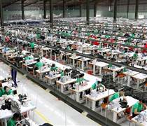 HUG: Sắp tạm ứng cổ tức năm 2025, tiền mặt 10%