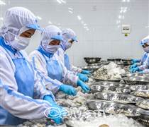 CAT: Thủy sản Cà Mau chia cổ tức 15% bằng tiền và phát hành hơn 4,6 triệu cổ phiếu 