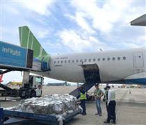 Chỉ khi tăng quy mô đội bay, Bamboo Airways mới có khả năng phục hồi