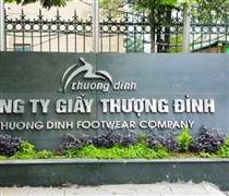 Cổ phiếu Giày Thượng Đình và VTC Telecom tăng bung nóc sau tin nhà nước thoái vốn