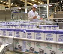 VNM: Đầu tư SCIC muốn bán toàn bộ cổ phiếu tại Vinamilk