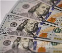 Niềm tin Fed hạ lãi suất gia tăng sức ép lên đồng USD