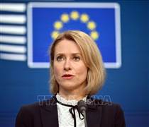 EU, Italy đánh giá Chiến lược An ninh Quốc gia mới của Mỹ