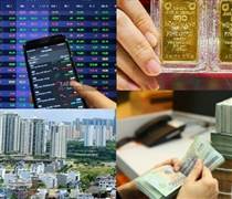 Nhiều tài sản sẽ đảo chiều vì lãi suất?