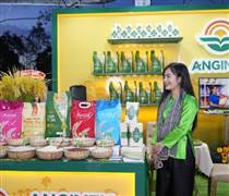 AGM: Định hướng tái cấu trúc