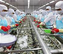 Xuất khẩu thủy sản dự báo cao nhất từ trước đến nay
