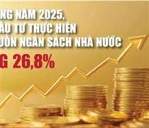 Infographics: Vốn đầu tư thực hiện từ nguồn ngân sách nhà nước 11 tháng ước đạt 736.400 tỷ đồng