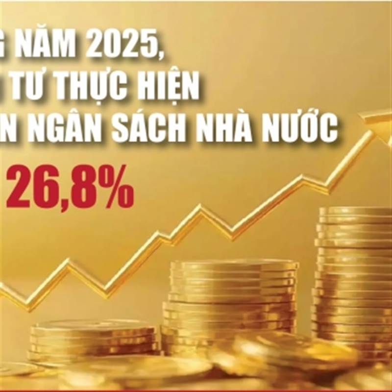 Infographics: Vốn đầu tư thực hiện từ nguồn ngân sách nhà nước 11 tháng ước đạt 736.400 tỷ đồng