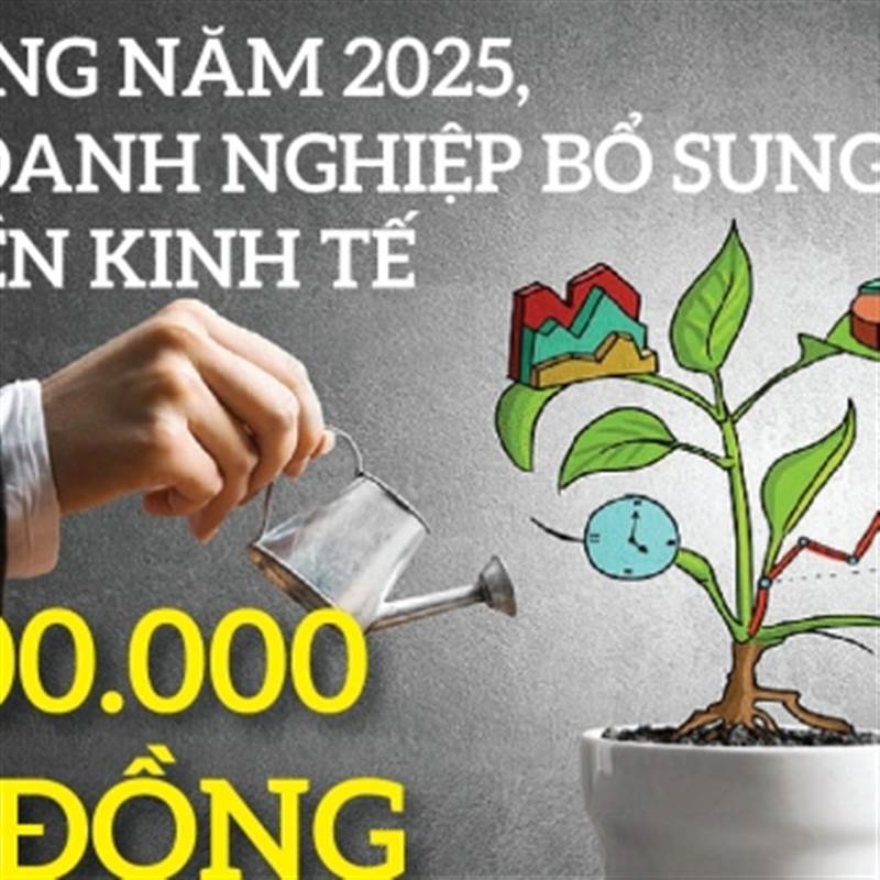 Infographics: 11 tháng năm 2025, các doanh nghiệp bổ sung vào nền kinh tế 5.600.000 tỷ đồng