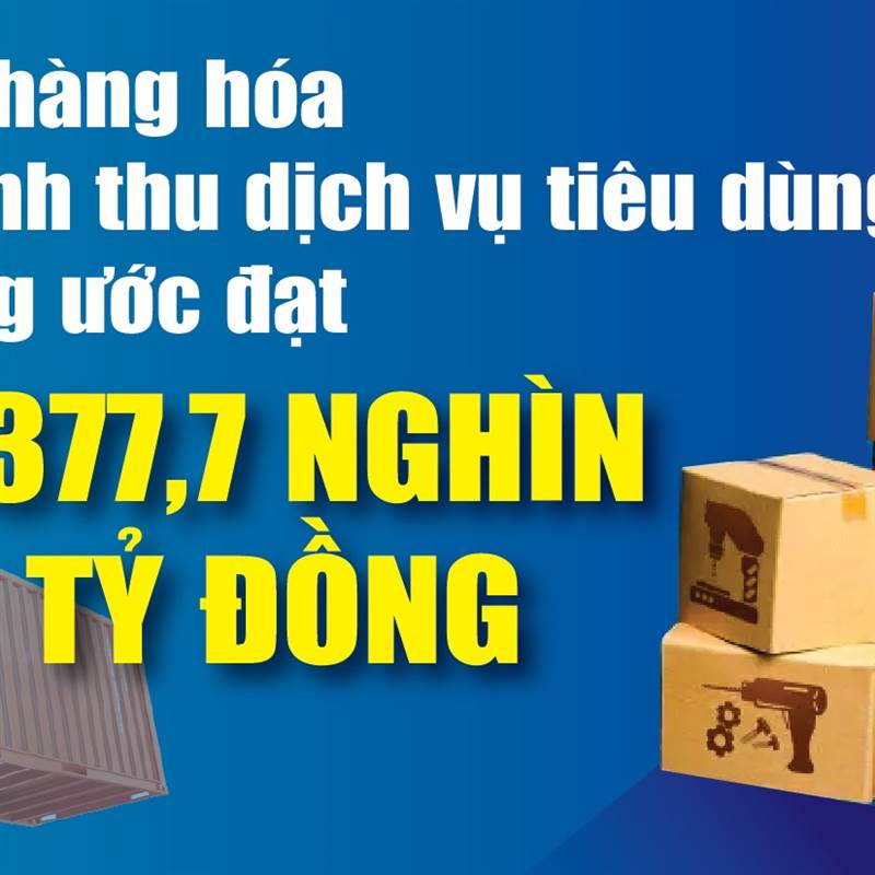 Infographics: Bán lẻ hàng hóa và doanh thu dịch vụ tiêu dùng 11 tháng tăng 9,1%