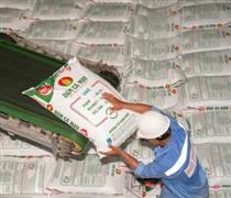 DCM: Đạm Cà Mau tăng mục tiêu lợi nhuận năm 2025 lên 1.448 tỷ đồng