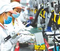 [Infographic] 15,1 nghìn doanh nghiệp thành lập mới trong tháng 11