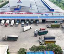 Tổng Giám đốc GrowMax: 'Nuôi tôm không chỉ là nuôi sinh kế mà là nuôi khát vọng'