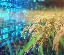 [Infographic] Xuất nhập khẩu tháng 11 đạt 77,09 tỷ USD, xuất siêu 1,13 tỷ USD