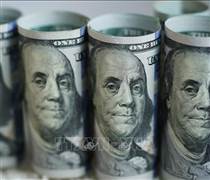 Đồng USD tăng giá trước khả năng Fed khắt khe hơn trong việc hạ lãi suất