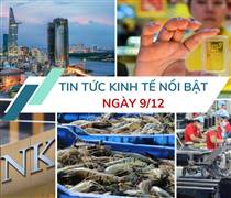 Tin tức kinh tế ngày 9/12: Xuất khẩu tôm bứt phá