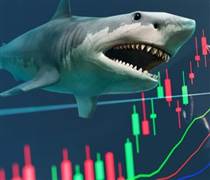 Hai "cá mập" tổng quy mô 24.500 tỷ có thể bán mạnh cổ phiếu của tỷ phú Phạm Nhật Vượng, ngược chiều "gom" mã nhà tỷ phú Trần Đình Long