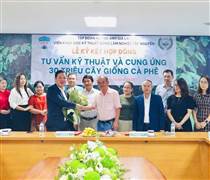 Bầu Đức trồng 10.000ha cà phê: Nông dân trồng cà phê có ai lỗ không? Ai cũng giàu cả!