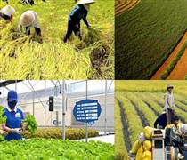 Ngành tài chính tăng cường hỗ trợ và quản lý nguồn lực, thúc đẩy phát triển nông thôn mới