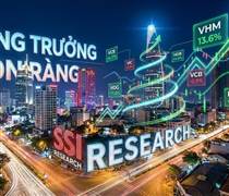 SSI: Không có bong bóng ở TTCK Việt Nam, chọn 3 cổ phiếu trong nhóm VLXD để đón sóng đầu tư công, “Vua thép” được gọi tên 