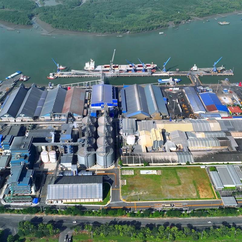 Hai tập đoàn tỷ đô rót thêm 100 triệu USD vào Việt Nam, TP.HCM sở hữu nhà máy dầu dậu nành lớn nhất Đông Nam Á