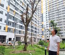 Từ 1/7/2026, gia đình sinh đủ 2 con được ưu tiên mua nhà ở xã hội