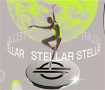 Stellar âm thầm lập kỷ lục on-chain mới trong tháng 12 — Liệu giá sẽ tăng mạnh?