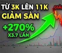 Biến lớn tại công ty vừa chuyển Nhà máy điện gió 9.000 tỷ cho Vingroup