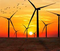 HID: Giảm sàn, trắng bên mua sau chuỗi tăng trần