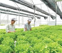 HSL: Thực phẩm Hồng Hà chi hàng chục tỷ đồng thâu tóm 2 công ty