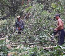 Doanh nghiệp dự án cao tốc Gia Nghĩa - Chơn Thành xin chuyển từ BOT sang BT