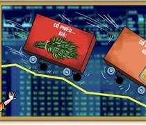 Cổ phiếu ‘trà đá’ nổi sóng