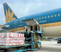 SCS: Một 'đại gia' ngành hàng không chốt ngày chi trả cổ tức tiền mặt tỷ lệ 25%