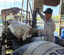 Philippines lập rào cản mới, doanh nghiệp gạo Việt vào thế khó