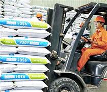 Giá nguyên liệu hạ nhiệt, vì sao thức ăn chăn nuôi vẫn 'đứng giá'?