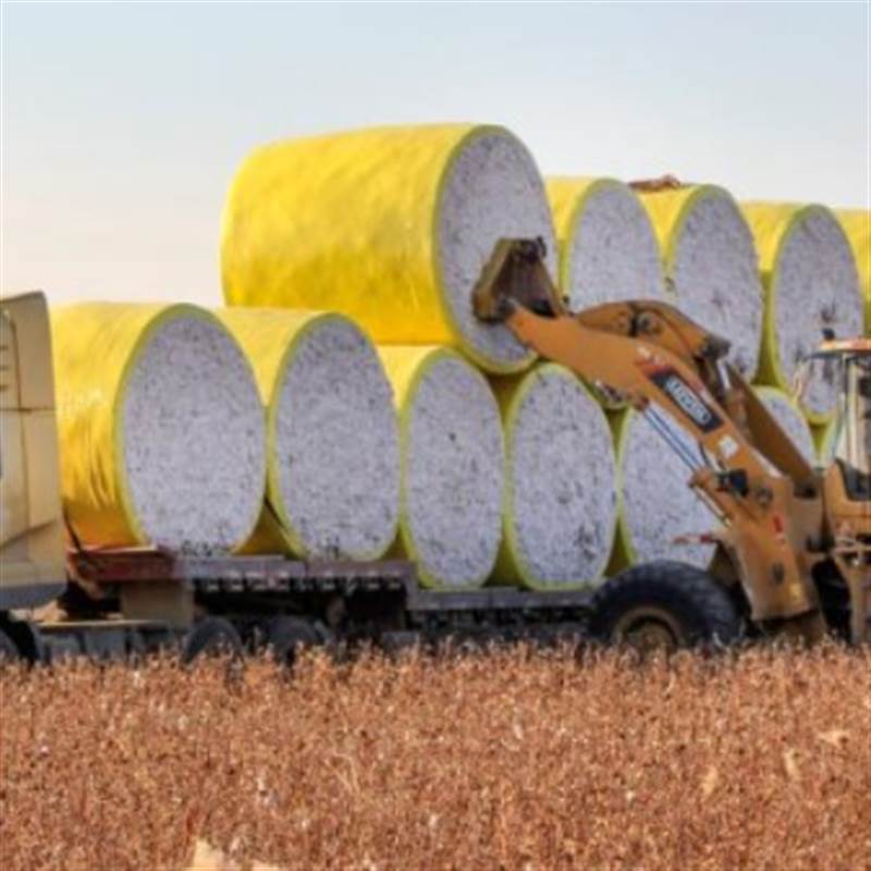 Mỹ chi hơn 16 tỷ USD mua 'mỏ vàng' thứ 3 thế giới của Việt Nam: Nước ta đã xuất sang 2/3 thế giới, 3 ông trùm thống trị toàn cầu đều đến từ châu Á