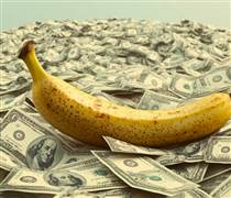 Kỳ vọng xuất khẩu tỷ USD, doanh nghiệp nào trồng nhiều chuối nhất?