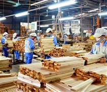 Xuất khẩu gỗ và lâm sản dự báo vượt 18 tỷ USD trong năm 2025