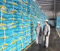 DPM: “Phao cứu sinh” cho DPM