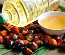 Ấn Độ tăng cường nhập khẩu dầu cọ từ Đông Nam Á