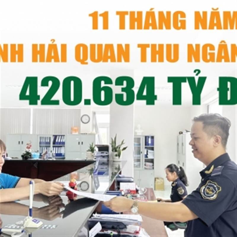 Infographics: Ngành Hải quan thu ngân sách 11 tháng đạt 420.634 tỷ đồng