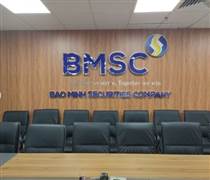 BMS: Chứng khoán Bảo Minh sử dụng 1.250 tỷ đồng từ đợt chào bán cổ phiếu riêng lẻ như thế nào?